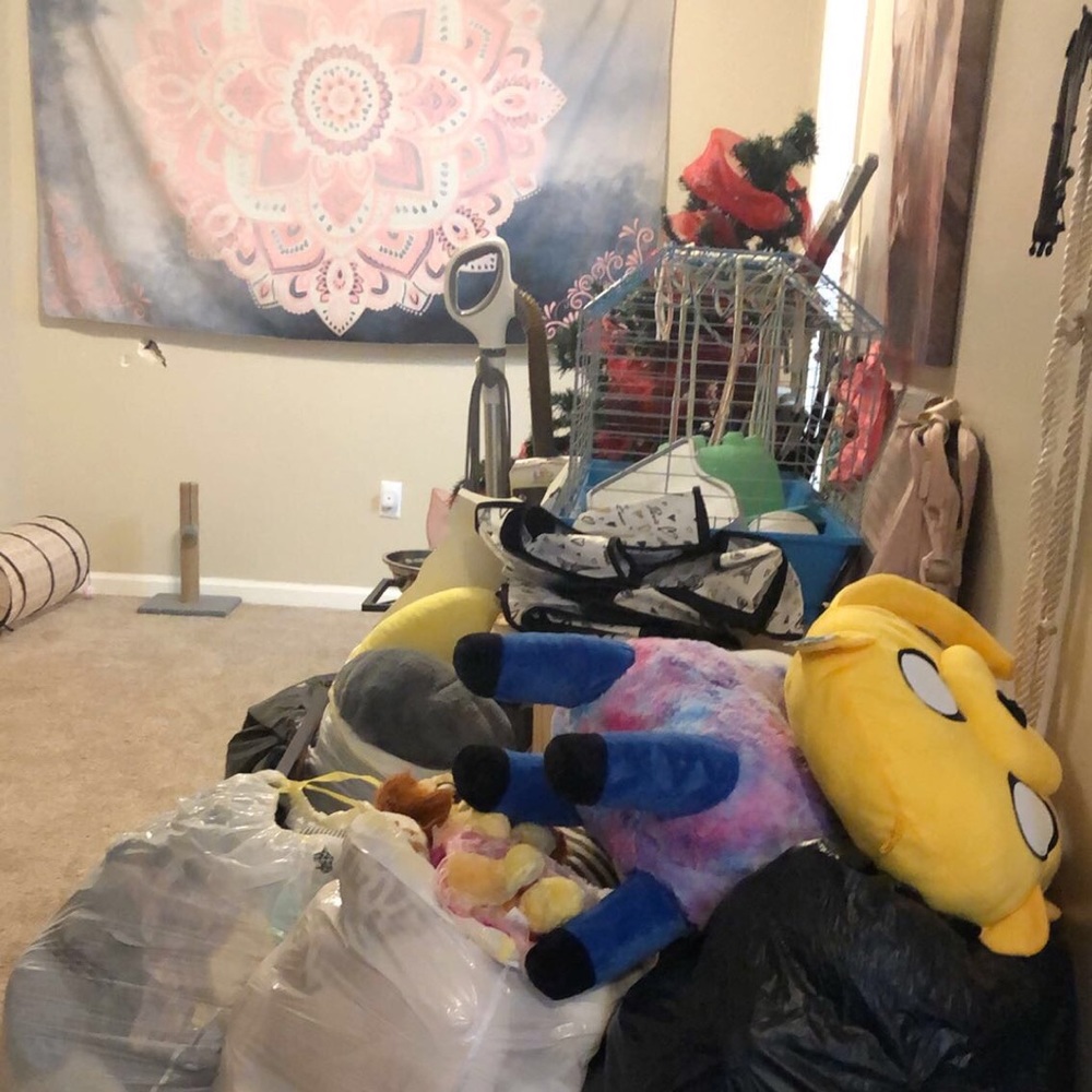 Furniture, clothes, jewelry, stuffed animals, decor, tech, and more!
